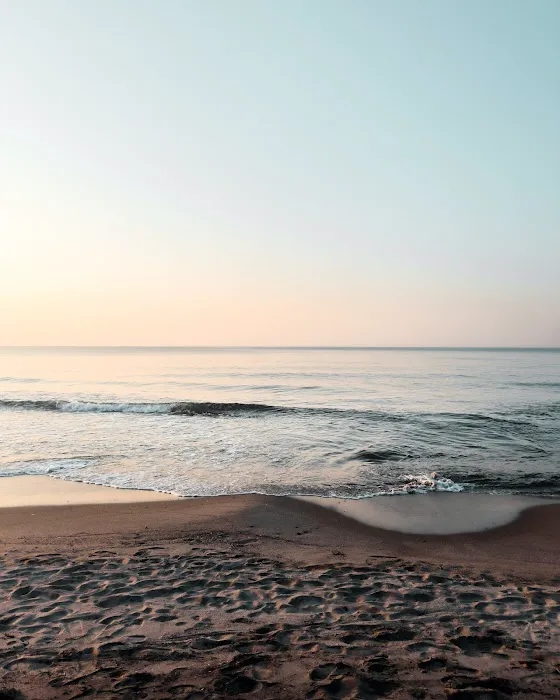 Beach Yoga Life Picture 10