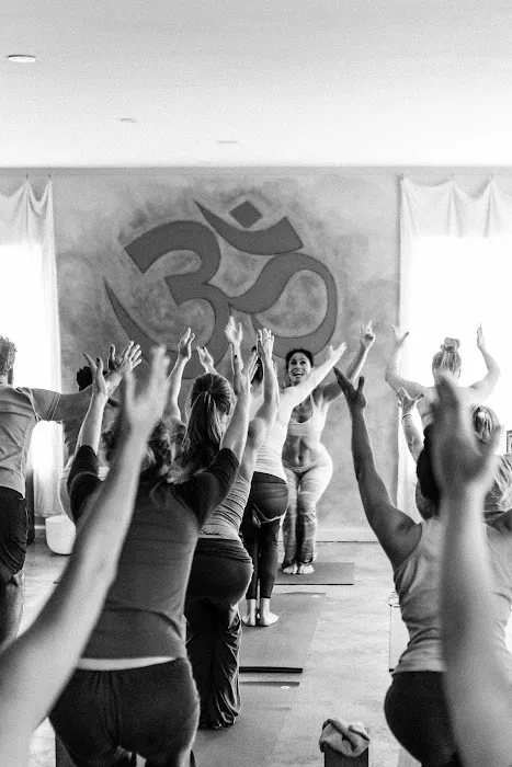 Yoga Nest Venice Picture 5