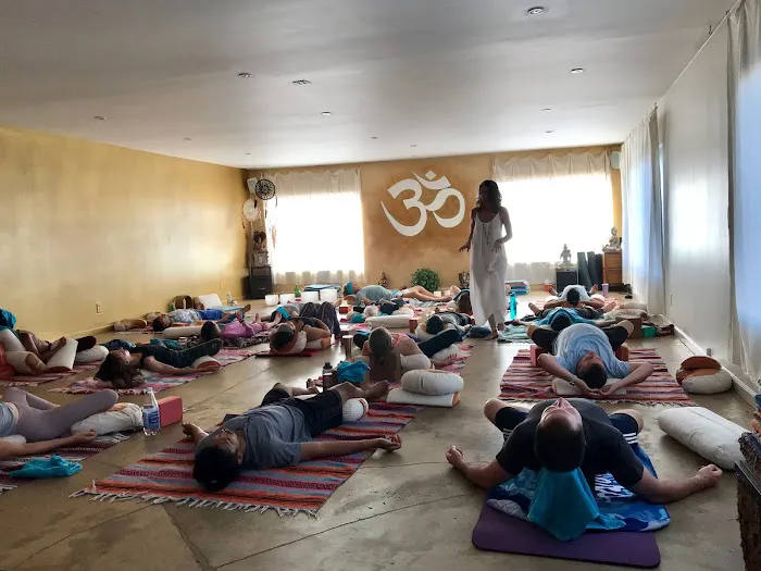 Yoga Nest Venice Picture 4