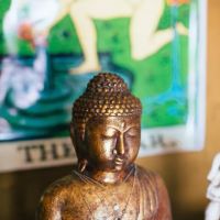 Yoga Nest Venice ico