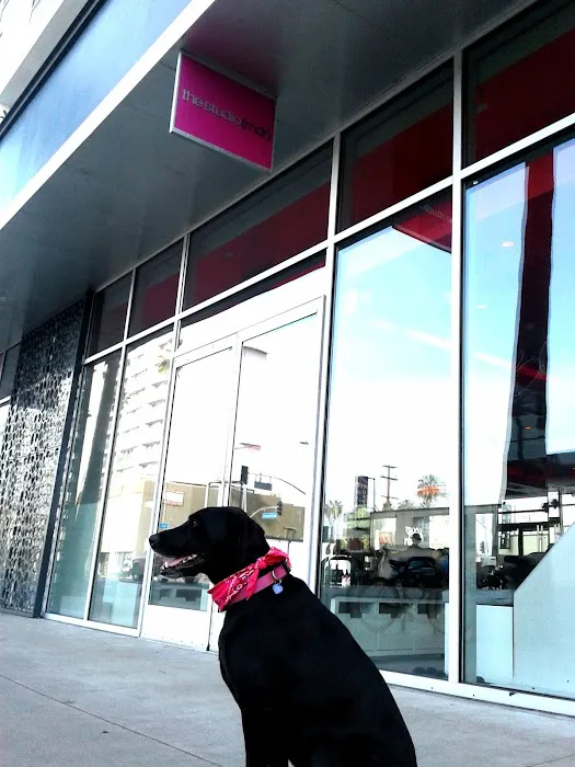 The Studio (MDR) Picture 1