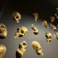 JOHN REED Fitness ico