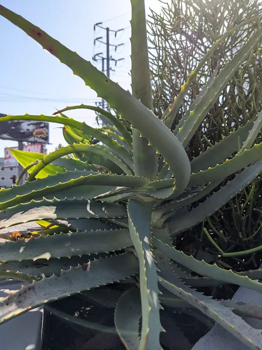 Barry's Weho Picture 5