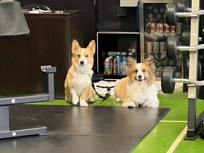 FulHaus Club (Gym) Picture 9