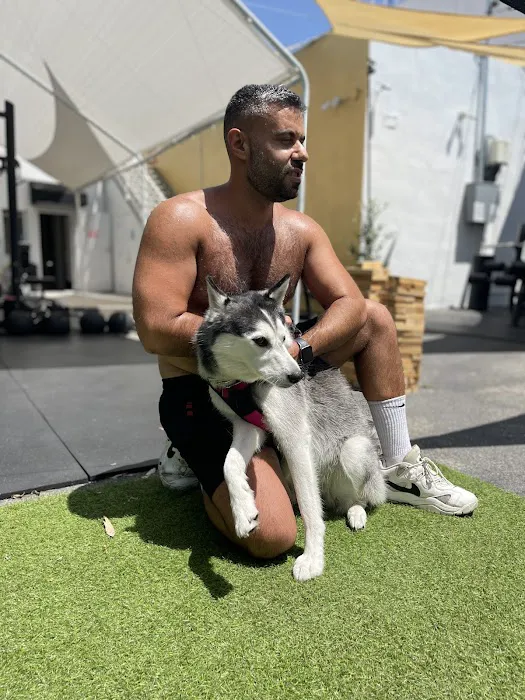 FulHaus Club (Gym) Picture 10