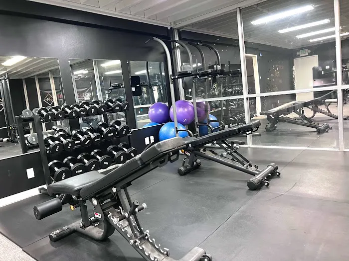 FulHaus Club (Gym) Picture 7