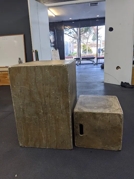 Opex Santa Monica Picture 2