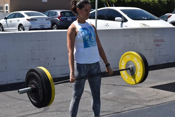 Opex Santa Monica Picture 7