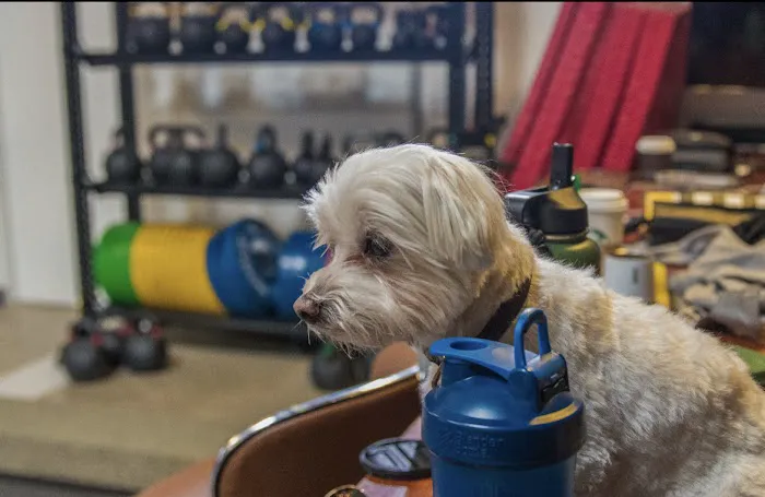 West LA Athletics home of Do More CrossFit Picture 1