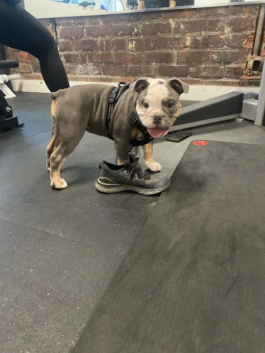 Lucky Athletes Picture 4