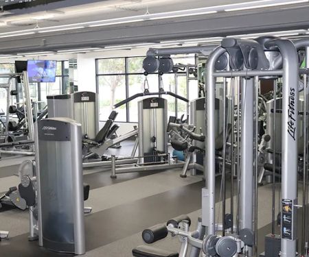 Curl Fitness
