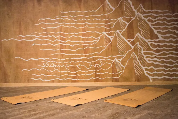 Ra Yoga Newport Beach Picture 4