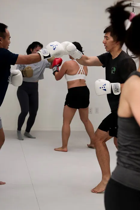 Fusion Club Picture 8