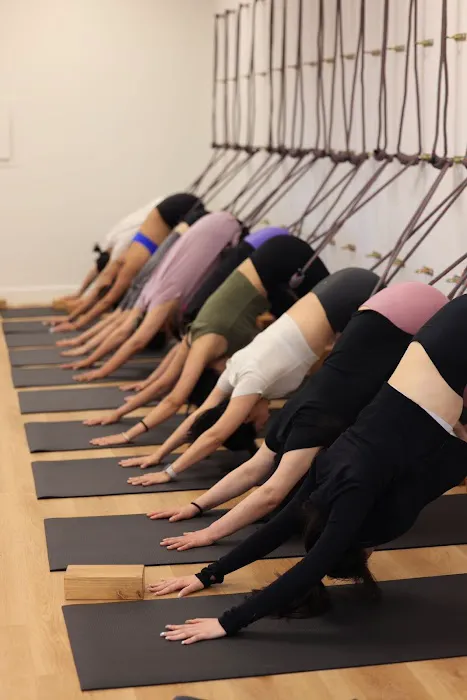 Balancy yoga and pilates Picture 5