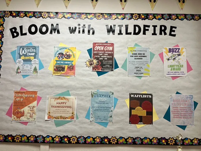 Wildfire Gymnastics Picture 8