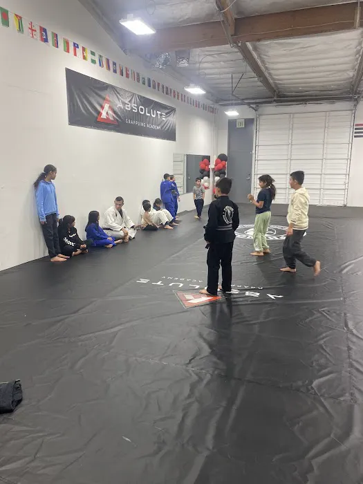 Absolute Grappling Academy Picture 2