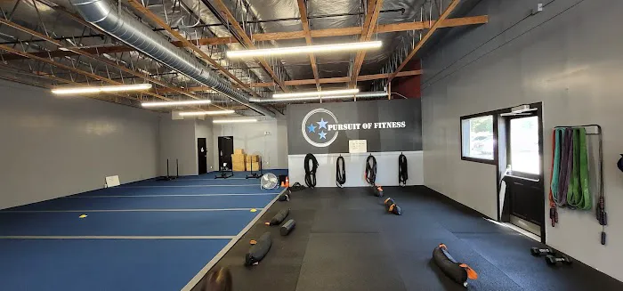 Pursuit Of Fitness Picture 1