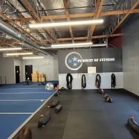 Pursuit Of Fitness ico