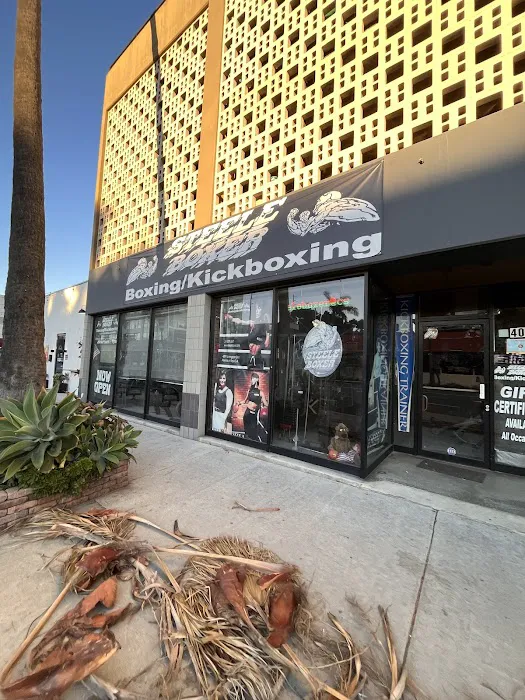 Spencer Steele Boxing Picture 7