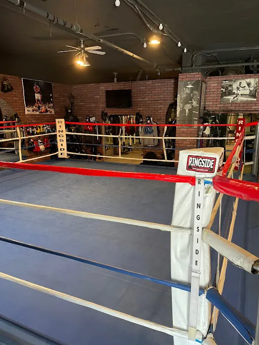 Spencer Steele Boxing Picture 4