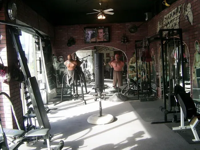 Steele Boxer Picture 1