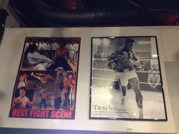 Steele Boxer Picture 9