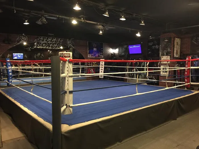 Steele Boxer Picture 2