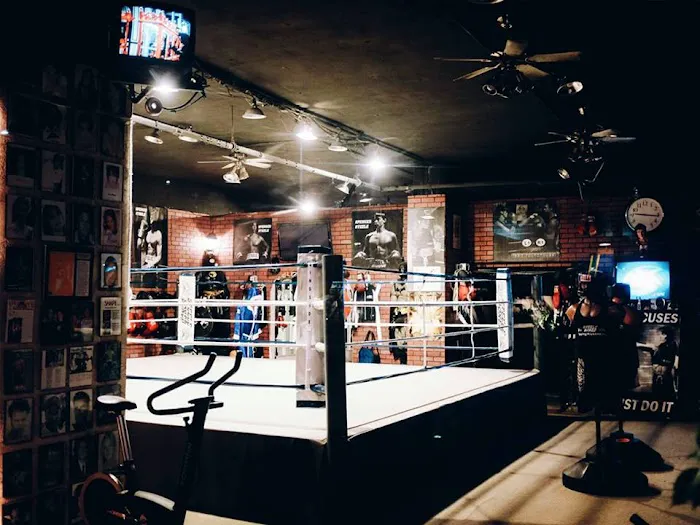 Steele Boxer Picture 10