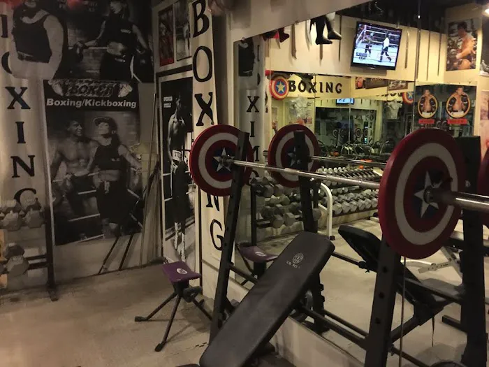 Steele Boxer Picture 5