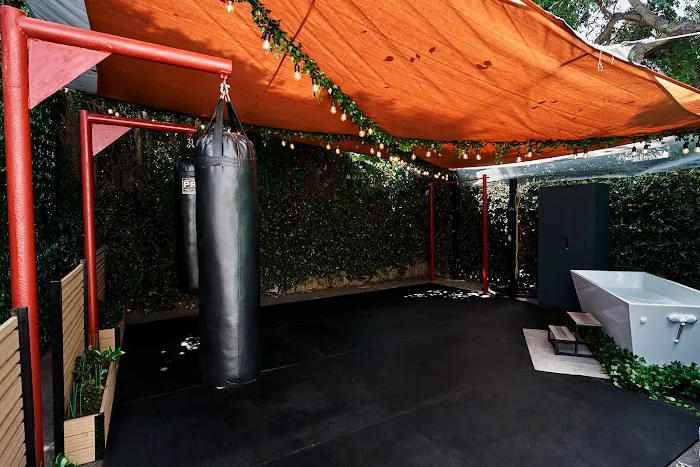 Suavecito Boxing Picture 6