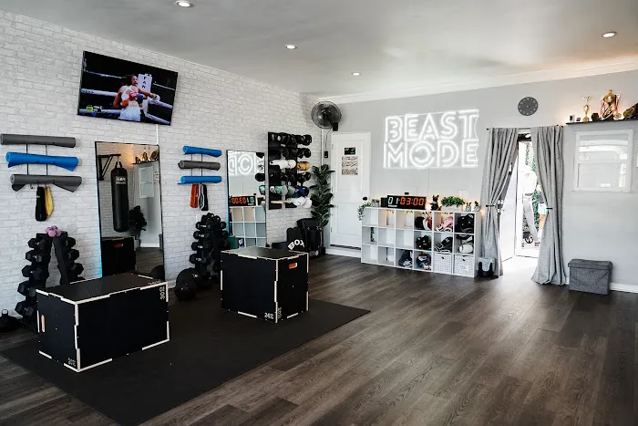 Suavecito Boxing Picture 7