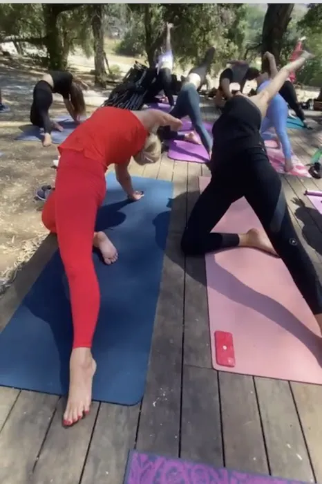 OLAvedi Yoga & Retreats Picture 6