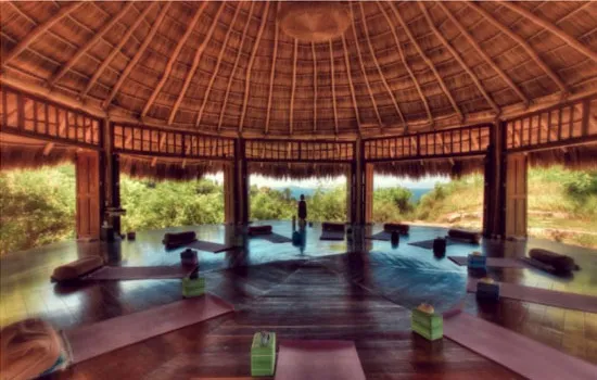 OLAvedi Yoga & Retreats Picture 5