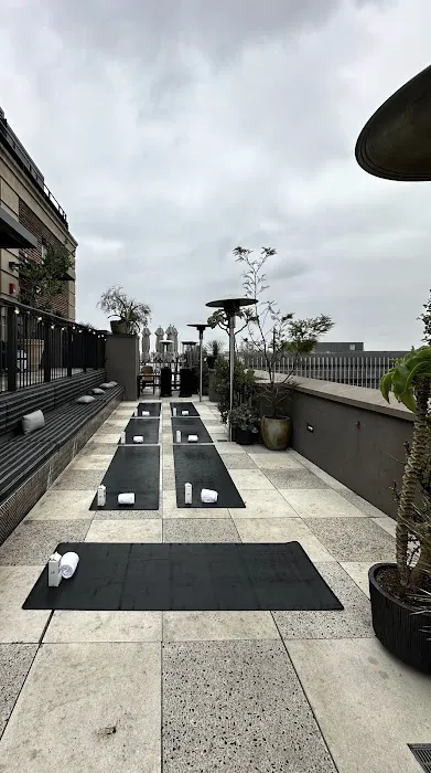 Westside Yogis Picture 1