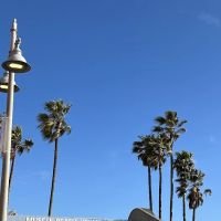 Muscle Beach Venice Gym ico
