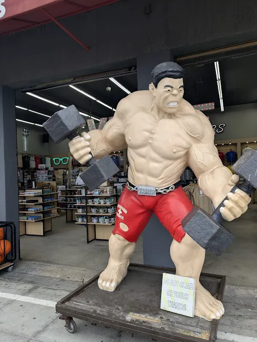 Muscle Beach Venice Gym Picture 9