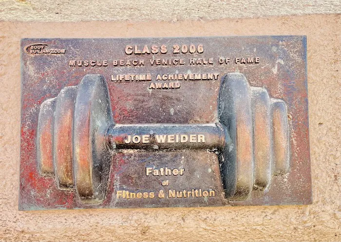 Muscle Beach Venice Outdoor Gym Picture 5