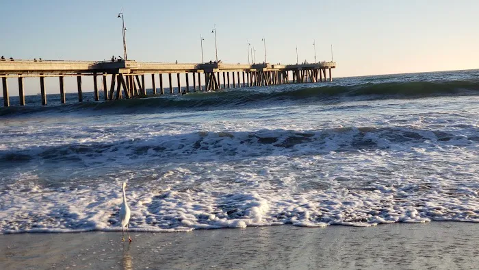 Muscle Beach Venice Outdoor Gym Picture 9