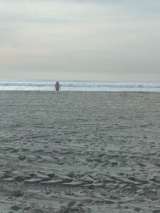 Muscle Beach Venice Outdoor Gym Picture 8