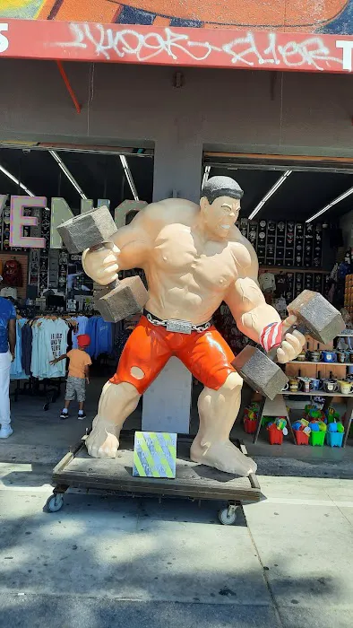 Muscle Beach Venice Outdoor Gym Picture 10
