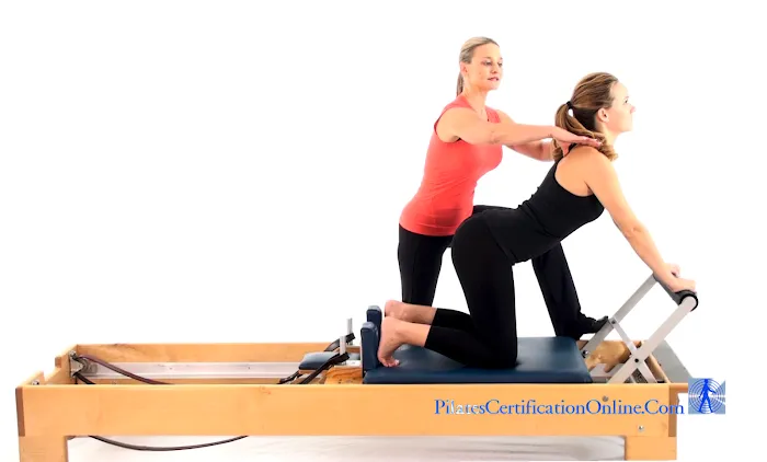 Pilates Certification Online Picture 8