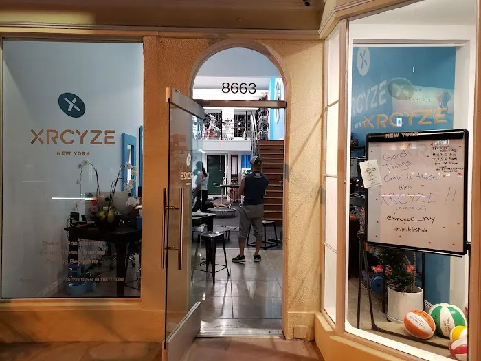 XRCYZE New York Picture 8