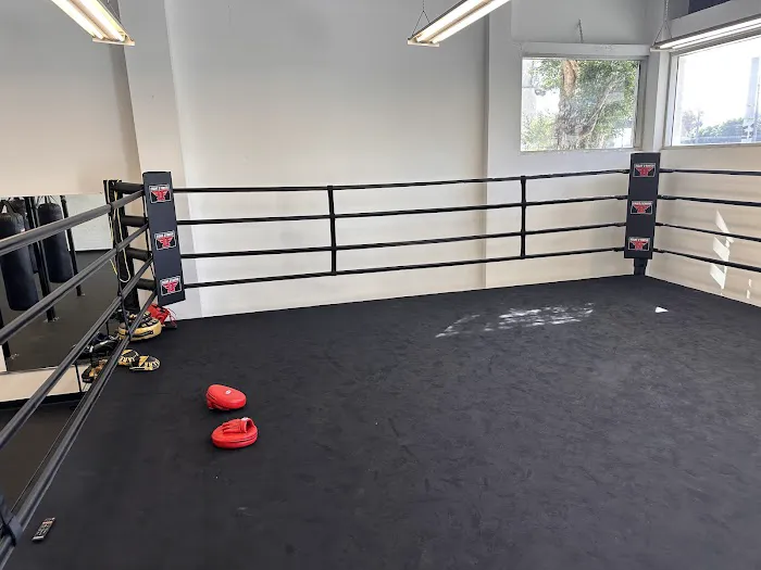 The Punch Club LA Westwood Picture 5