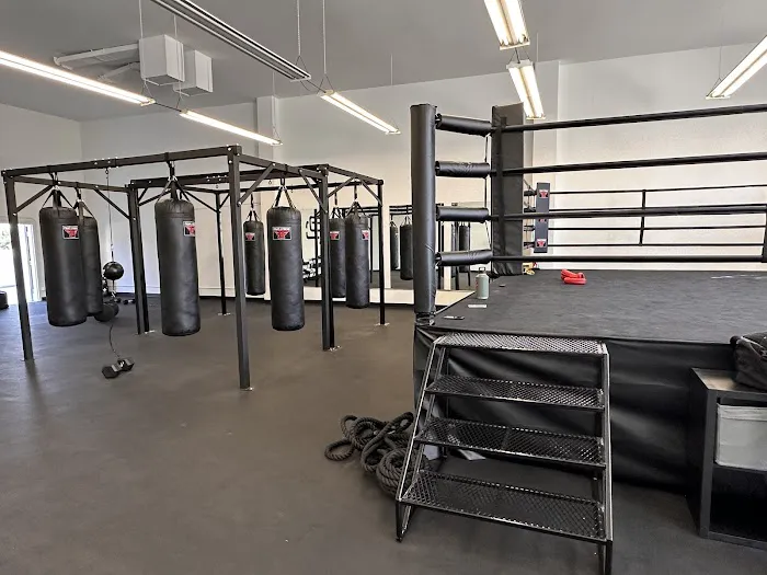 The Punch Club LA Westwood Picture 1