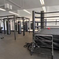 The Punch Club LA Westwood ico