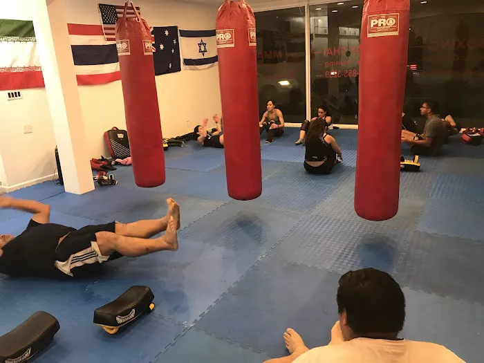 AMC Boxing Muaythai and personal training Picture 6