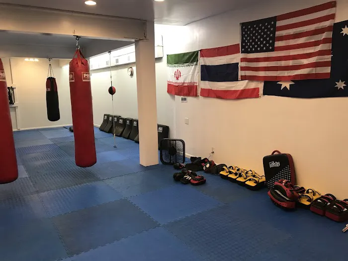 AMC Boxing Muaythai and personal training Picture 4