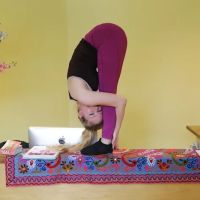 Have Body Wellness ico