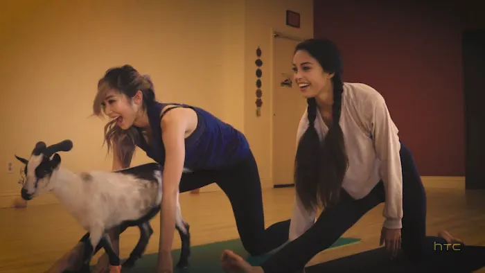 Laughing Frog Yoga Picture 3