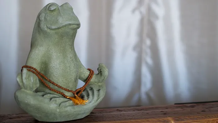Laughing Frog Yoga Picture 9